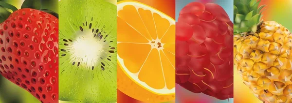 3d fruits réalistes, ananas, framboise, kiwi, fraise, orange. Graphiques vectoriels. Un ensemble de fruits . — Image vectorielle