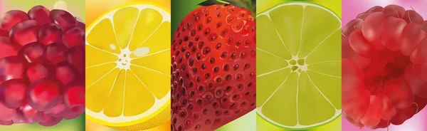 3d fruta realista, granada, limón, lima, fresa, frambuesa. Gráficos vectores. Un conjunto de frutas . — Archivo Imágenes Vectoriales
