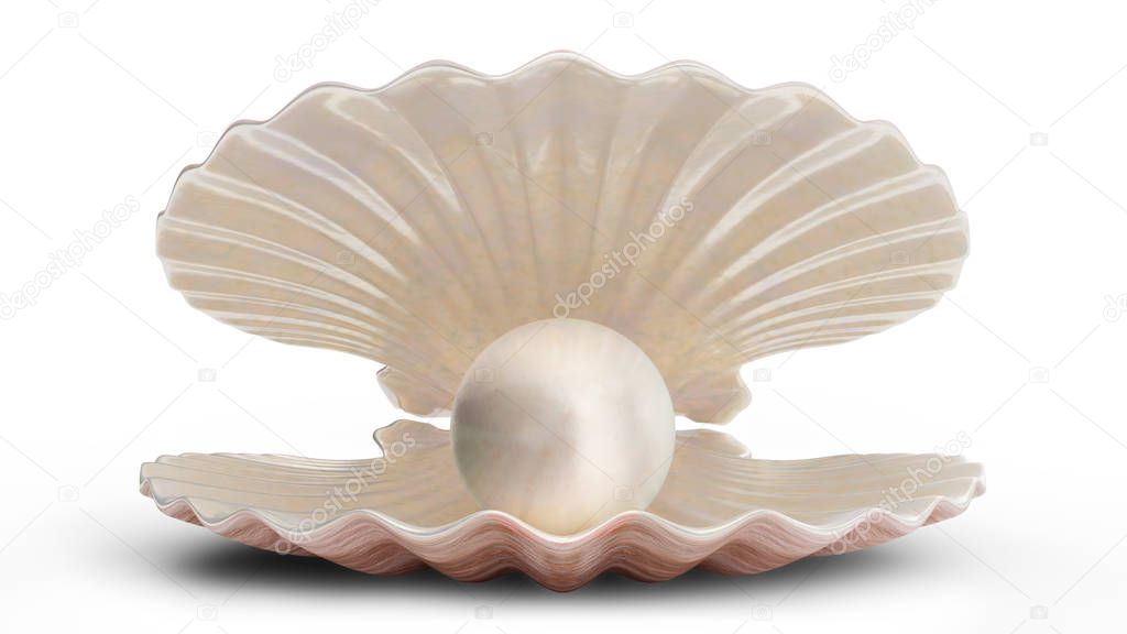 Sea shells with pearl inside. Gem, womens jewelry, nacre bead. For your banner, poster, logo. Sea shell, shiny sea pearl isolated on white background, 3d illustration