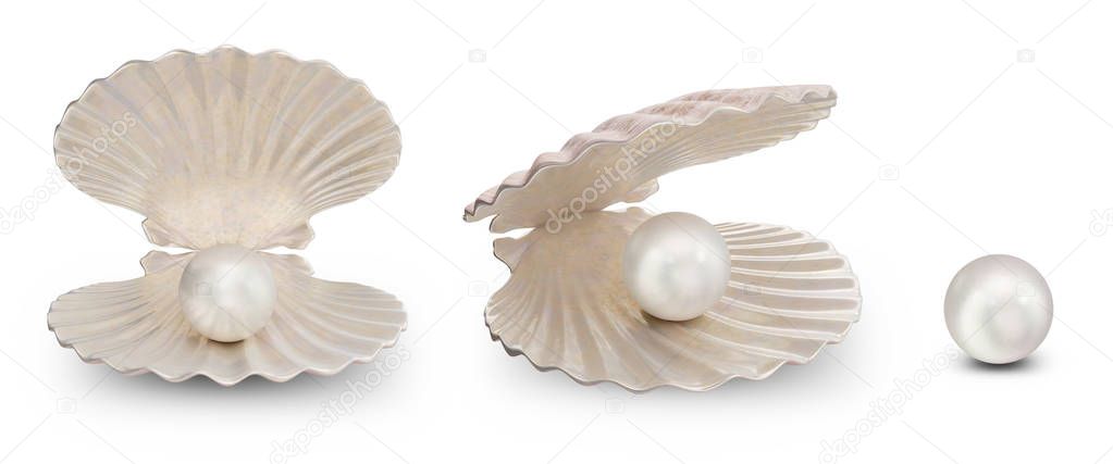 Set of sea shells with pearl inside. Collection gems, womens jewelry, nacre beads. For your banner, poster, logo. Set sea shells, shiny sea pearl isolated on white background, 3d illustration