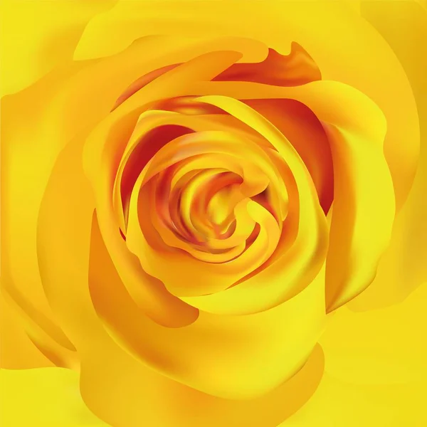 Rosa gialla da vicino. Rosa realistica 3d. Bella rosa. Illustrazione vettoriale — Vettoriale Stock