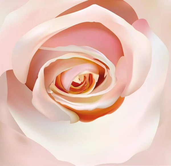 Rosa bege de perto. 3d realista rosa. Linda rosa. Ilustração vetorial — Vetor de Stock