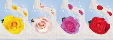 3d gerçekçi süt sıçramaları yakın çekim ile gül. Güzel güller sarı, kırmızı, pembe ve bej. Vektör illüstrasyon. Süt sıçradı ve güller.