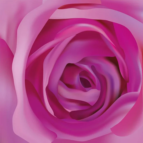 中心美丽的紫色玫瑰。抽象玫瑰。紫色玫瑰特写。美丽的花。3d 逼真的玫瑰. — 图库矢量图片