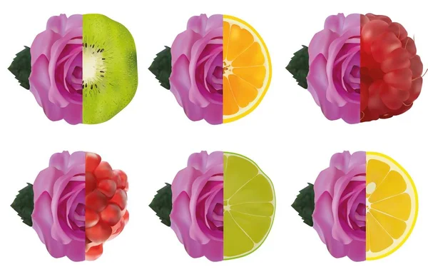 Gyümölcs-és lila Rózsa. Lime, citrom, gránátalma, málna, Kiwi, narancs rózsával. 3D vektor illusztráció. Rózsa-gyümölcs. — Stock Vector