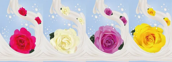 Rose réaliste 3d avec éclaboussures de lait. De belles roses jaunes, violettes, blanches et roses. Illustration vectorielle. Lait éclaboussé et roses . — Image vectorielle