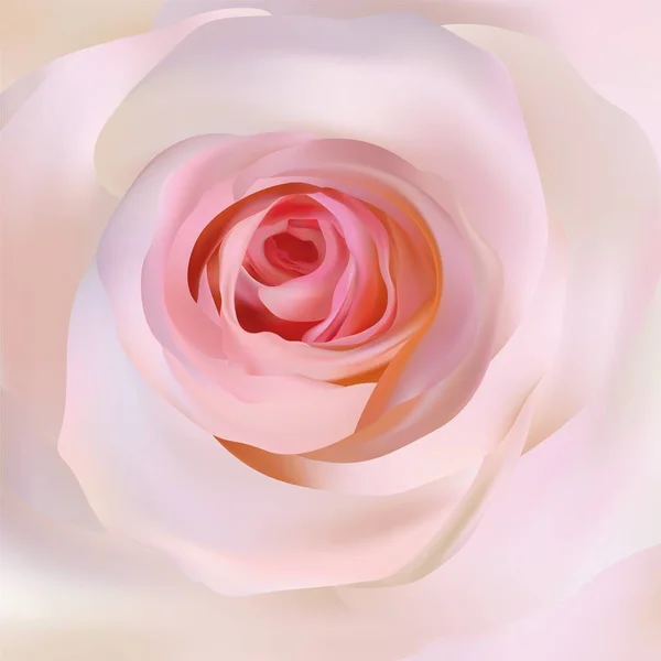Delicate beige Rose close-up. 3D realistische Rose. Mooie roos. Romantische achtergrond. Vector illustratie. — Stockvector