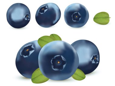 Orman meyvesi. Beyaz arka planda 3D gerçekçi Blueberry. Simgeler yaban mersini yakın yukarı. Vektör Illustration.