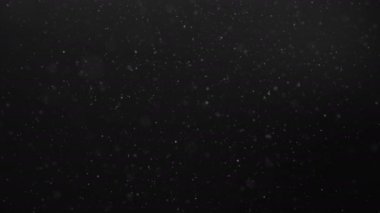 Beyaz partiküllerin soyut hareket arka planı. Güzel beyaz yüzen toz parçacıkları. Sorunsuz Loopable 3D. 4k animasyon