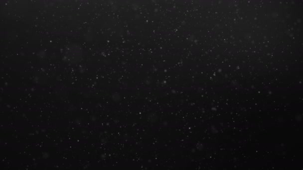 Abstrakter Bewegungshintergrund weißer Teilchen. schöne weiße schwimmende Staubpartikel. nahtlose loopable 3D. 4k-Animation — Stockvideo