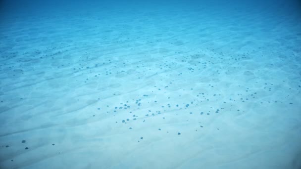 Vista dei fondali marini sott'acqua. fondale sabbioso cosparso di piccoli ciottoli. Effetto caustico nei fondali. Piccole bolle salgono. Animazione 3D senza soluzione di continuità. 4K — Video Stock