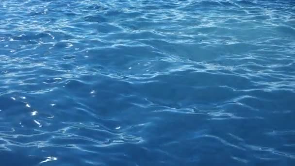 Beautiful Seascape Background Animation Loop Deep Ocean Landscape Water  Waves — Stock Video © benchyb #206244740