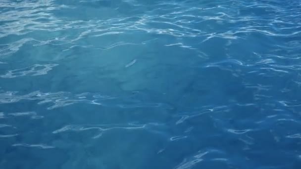 Sea or ocean, waves close-up view. Blue waves sea water. Blue crystal clear water. One can see the sandy seabed. Sea wave low angle view. Loop able 3D 4K animation — Stock Video