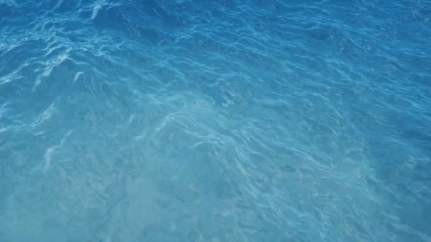 Perla dentro de una concha. Hermosa perla en el caparazón en el fondo del mar. Los rayos de luz solar que brillan desde arriba penetran en el agua azul clara y profunda. Efecto causal en el fondo marino. Los rayos de sol bajo el agua. 4K — Vídeos de Stock