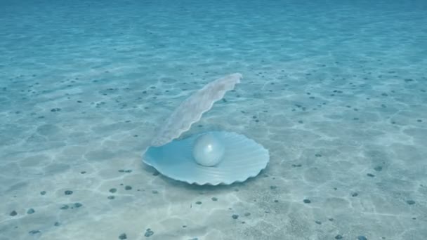 Pearl inside a seashell. Beautiful pearl in the shell on the seabed. Rays of sunlight shining from above penetrate deep clear blue water. Caustic effect in the seabed. Sunlight beams underwater. 4K — Stock Video