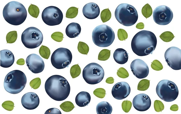 林浆果与叶运动。顶部视图。收集新鲜成熟的蓝莓。3d逼真的蓝莓在白色背景。宏纹理。图标蓝莓特写。矢量插图. — 图库矢量图片