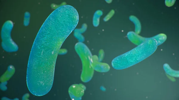 Stavformade bakterier, bakterier i tarmarna levande organism som nödvändig del eller smittämnen av infektioner och inflammationer. E. coli. Viruset är en bakterie, enterobacteria. 3D-illustration — Stockfoto