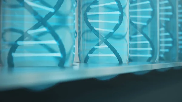 Двойная спиральная структура ДНК внутри пробирки, молекулы ДНК, РНК. Концепция биохимии, биотехнологии. Изменение генома, 3D иллюстрация — стоковое фото