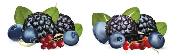 3D realistische BlackBerry, rode bessen bessen en Blueberry geïsoleerd op witte achtergrond. Stel verse, zomerse bessen met groene leaft. Banner. Vector illustratie. — Stockvector
