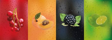Kırmızı frenk üzümü, böğürtlen, kayısı, limon lu meyve suyu. Toplama 3d gerçekçi meyve. Çiy harekete geçer. Taze fruis damla ile kapatın. Güzel vektör illüstrasyon.
