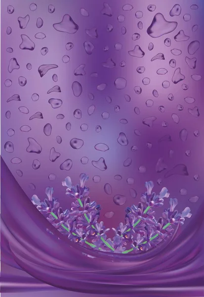 Violet lavender with drops water. Aroma lavender. Flower on violet background. Bunch fragrant lavender. Vector illustration — 스톡 벡터