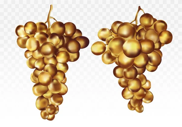 Złote winogrona. Ikona winogron. Kolekcja w dwóch złotych ikonach. Złote owoce. Abstrakcyjna ilustracja. Wektor 3d — Wektor stockowy