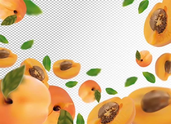 Arrière-plan abricot. Abricot frais avec feuille verte sur fond transparent. Fruits réalistes 3D. Un abricot qui tombe. Produit nature. Illustration vectorielle. Illustration vectorielle — Image vectorielle