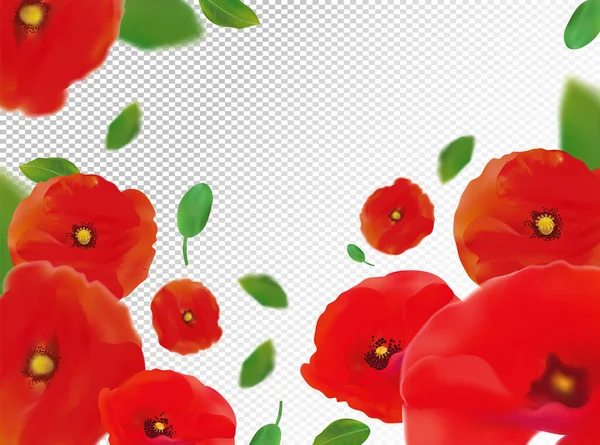 Coquelicots rouges réalistes 3D avec feuille verte. Le coquelicot rouge fleurit en mouvement. Fond coquelicots rouges sauvages. Fleur tombante coquelicots rouges. Illustration vectorielle . — Image vectorielle