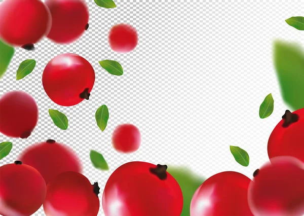 3D realistische rote Johannisbeere mit grünem Blatt. Frische rote Johannisbeeren in Bewegung. Rote Johannisbeere Hintergrund. Fallende Beeren. Vektorillustration. — Stockvektor