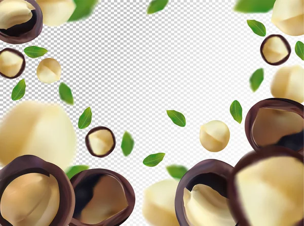 Macadamia ořechy pozadí. Létající makadamie se zeleným listem na průhledném pozadí. 3D realistické ořechy. Makadamie padající z různých úhlů. Vektorová ilustrace — Stockový vektor
