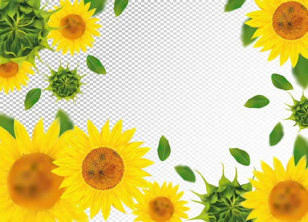 3D realistyczny słonecznik z zielonym liściem. Żółty słonecznik w ruchu. Piękne tło słonecznika. Spadający słonecznik. Ilustracja wektora. — Wektor stockowy