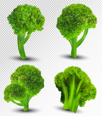 Üç boyutlu gerçekçi brokoli. Taze sebze koleksiyonu. Şeffaf arka planda brokoli lahanası. Doğa ürünü. Ayrıntılı vektör illüstrasyonu