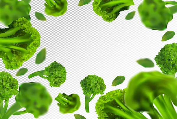 Fondo de brócoli. Col de brócoli fresco volador con hoja verde sobre fondo transparente. Verduras 3D realistas. Cae brócoli. Producto de la naturaleza. Ilustración vectorial — Archivo Imágenes Vectoriales