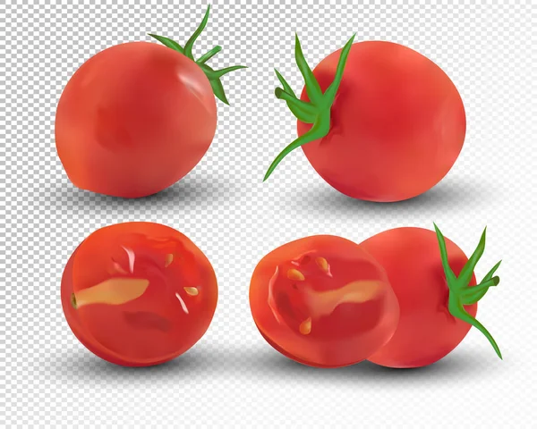 Συλλογή κόκκινο της ντομάτας είναι ολόκληρα και κομμένα στη μέση. Φρέσκια ντομάτα σε διάφανο φόντο. 3D ρεαλιστική ντομάτα από διαφορετικές γωνίες. Προϊόν φύσης. Εικονογράφηση διανύσματος — Διανυσματικό Αρχείο
