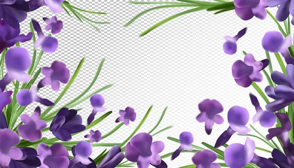 Fond lavande. Belle lavande avec feuille verte sur fond transparent. Lavande fleur violette en mouvement. Fleur volante. Illustration vectorielle 3D — Image vectorielle