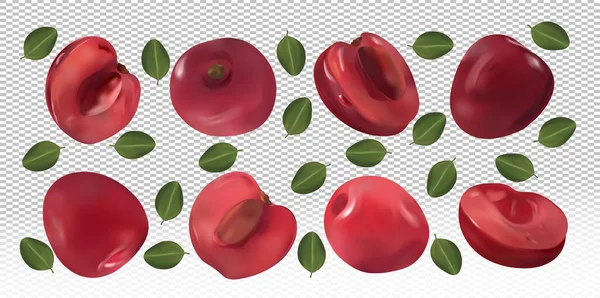 Ensemble de cerises avec des feuilles sur fond transparent. Cerise sur le gâteau. Cerise volante sont entiers et coupés en deux. Cerise fraîche mûre riche en vitamines, produit naturel. Illustration vectorielle réaliste. — Image vectorielle