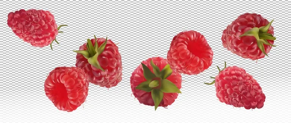透明背景下的3D现实树莓。从不同角度移动的覆盆子。会飞的浆果收集新鲜的覆盆子。详细的病媒说明. — 图库矢量图片