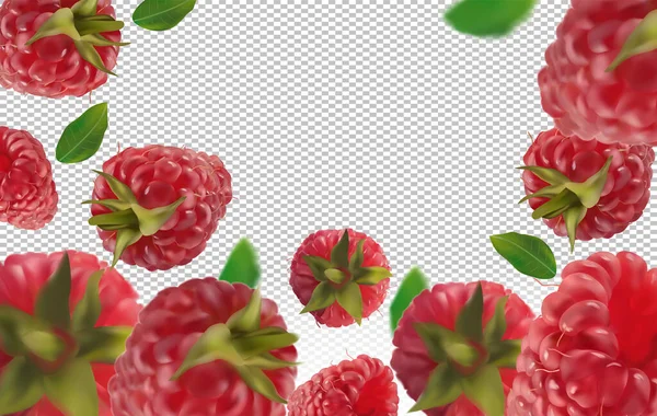 Fond framboise. Framboise volante avec feuille verte sur fond transparent. Framboise tombant sous différents angles. Motion Les framboises sont entières. Vecteur réaliste 3D — Image vectorielle