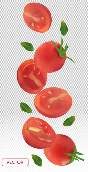 Tomate tombant sous différents angles. Tomate volante avec feuille verte sur fond transparent. Les tomates sont entières et coupées en deux. Tomate réaliste 3D. Illustration vectorielle — Image vectorielle