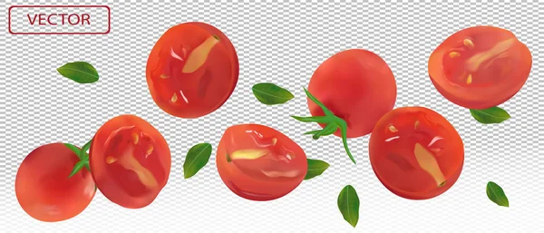 Tomate tombant sous différents angles. Tomate volante avec feuille verte sur fond transparent. Les tomates sont entières et coupées en deux. Tomate réaliste 3D. Illustration vectorielle — Image vectorielle