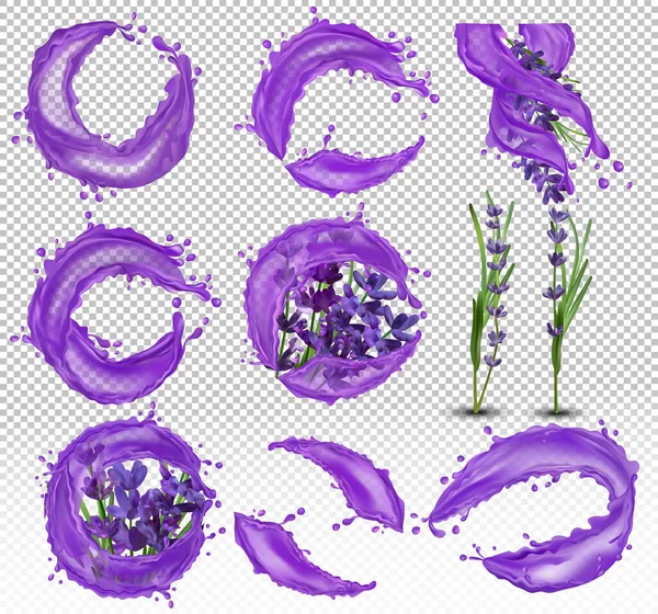 Koleksi ungu lavender dengan tetes air. Percikan air di lavender. Minyak lavender Aroma. Buket lembut lavender. Ilustrasi vektor realistis 3D - Stok Vektor