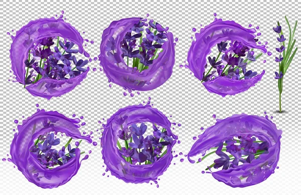 Collection violet lavender with water drops. Splashes water on lavender. Aroma oil lavender. Tender bouquet of lavender. 3D realistic vector illustration — Stock Vector