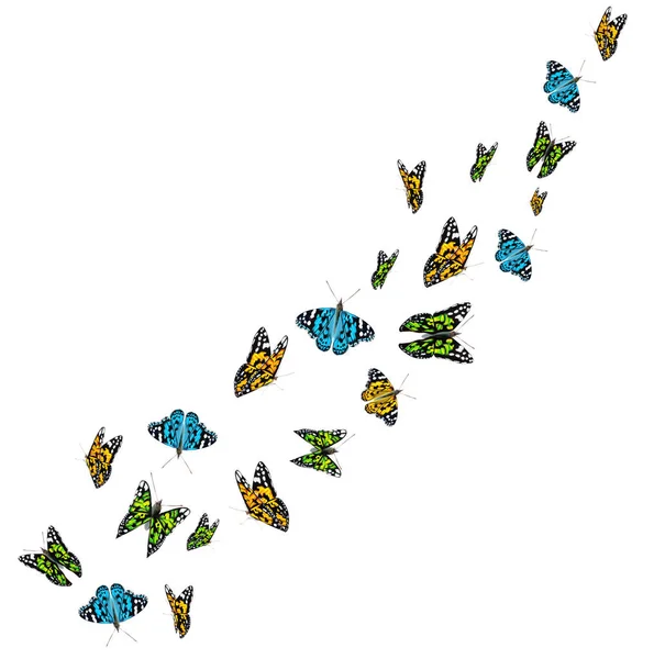 Fliegende bunte Schmetterlinge isoliert auf weißem Hintergrund. 3D realistische schöne Schmetterlinge. Biologie. Schöne Illustration. — Stockfoto