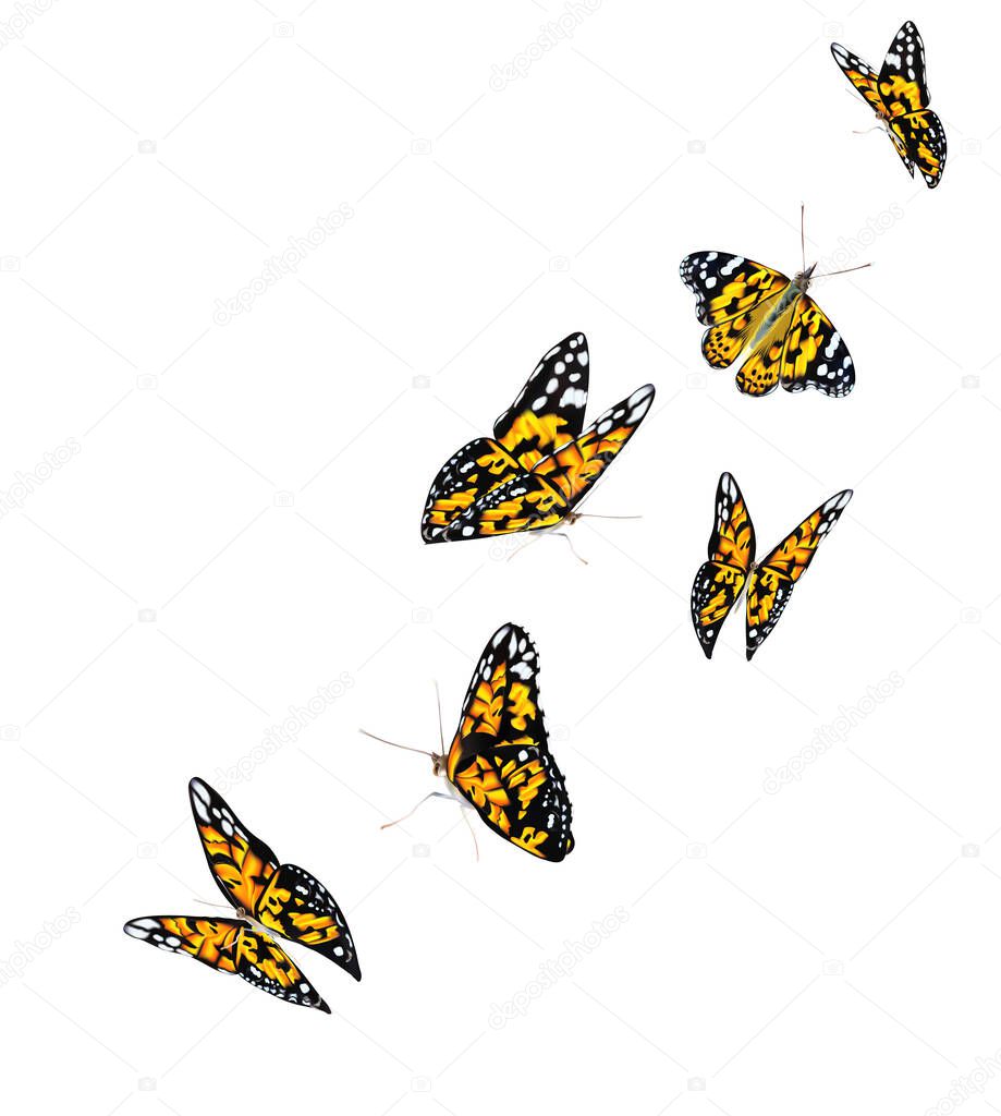 Orange beautiful flying butterflies isolated on white background. Monarch butterflies in Motion.3d illustration.