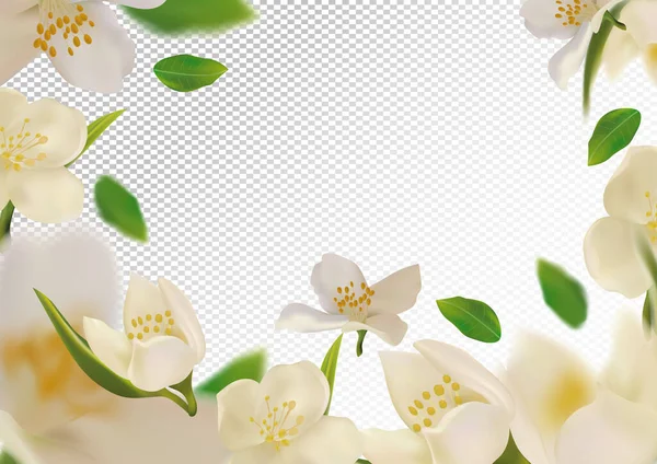 Jasmin fleur blanche avec feuille verte. Jasmin en fleurs, design pour produits cosmétiques, thé, parfum, huile essentielle. Beau fond de jasmin. Bannière pour vous produits de santé. Illustration vectorielle 3D — Image vectorielle