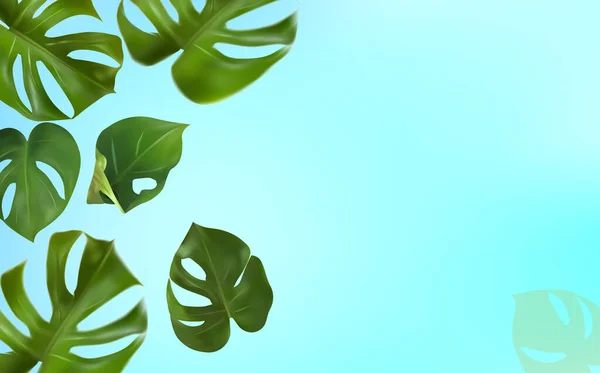 Grüne Blätter monstera auf blauem Hintergrund. Banner für Parfüms, Kosmetikprodukte, ätherisches Öl. Tropischer Hintergrund und Kopierplatz für Ihren Text. Vektorillustration — Stockvektor