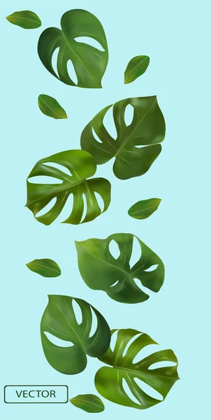 El verde tropical deja a la monstera sobre un fondo azul. Banner para perfumes, productos cosméticos, medicina. 3d hoja monstera realista. Ilustración vectorial — Vector de stock