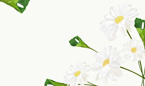 Beautiful chamomile background for your text or banner. White blooming chamomile. Banner for beauty product, perfume or medicine. 3d chamomile with green leaf on white background. Vector illustration — Stock Vector