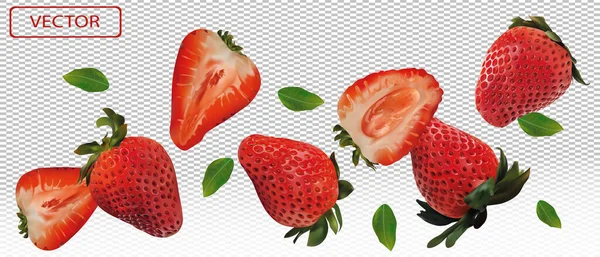 Fraise réaliste sur fond transparent. Fraises entières, tranches de fraises avec des feuilles vertes. Illustration pour votre affiche, bannière, produit naturel. Illustration vectorielle 3D — Image vectorielle