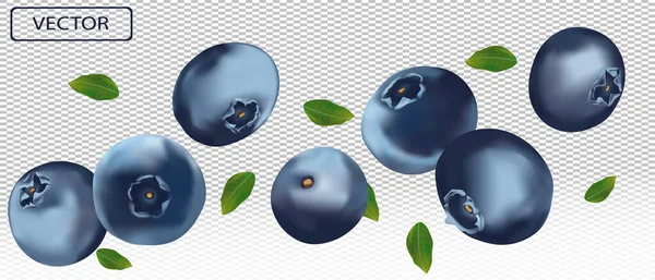 3D blueberry with green leaf. Juicy ripe berry blueberries on a transparent background. Fresh wild summer berry. Illustration for your poster, banner. Vector illustration. — Stock Vector